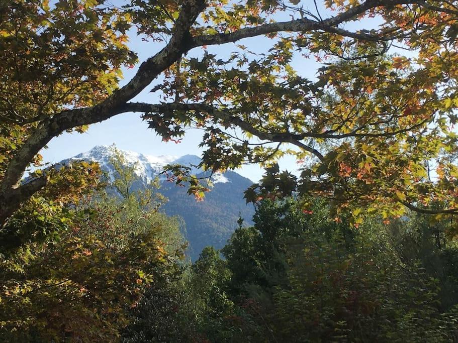 Villa Lerable Pourpre De La Grotte Au Lion Arbon Exterior foto